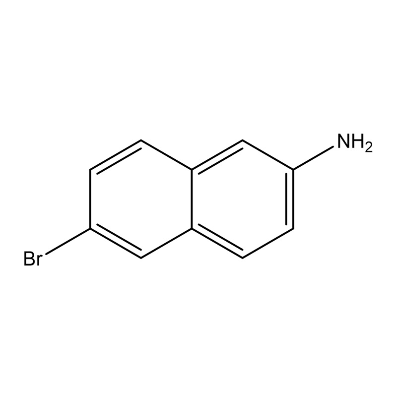 6-ব্রোমোনাফথালিন-2-অ্যামাইন